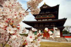 留學(xué)日本傳媒專業(yè)前景如何？