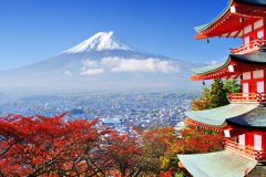 聽留學生講日本有哪些熱門專業選擇？